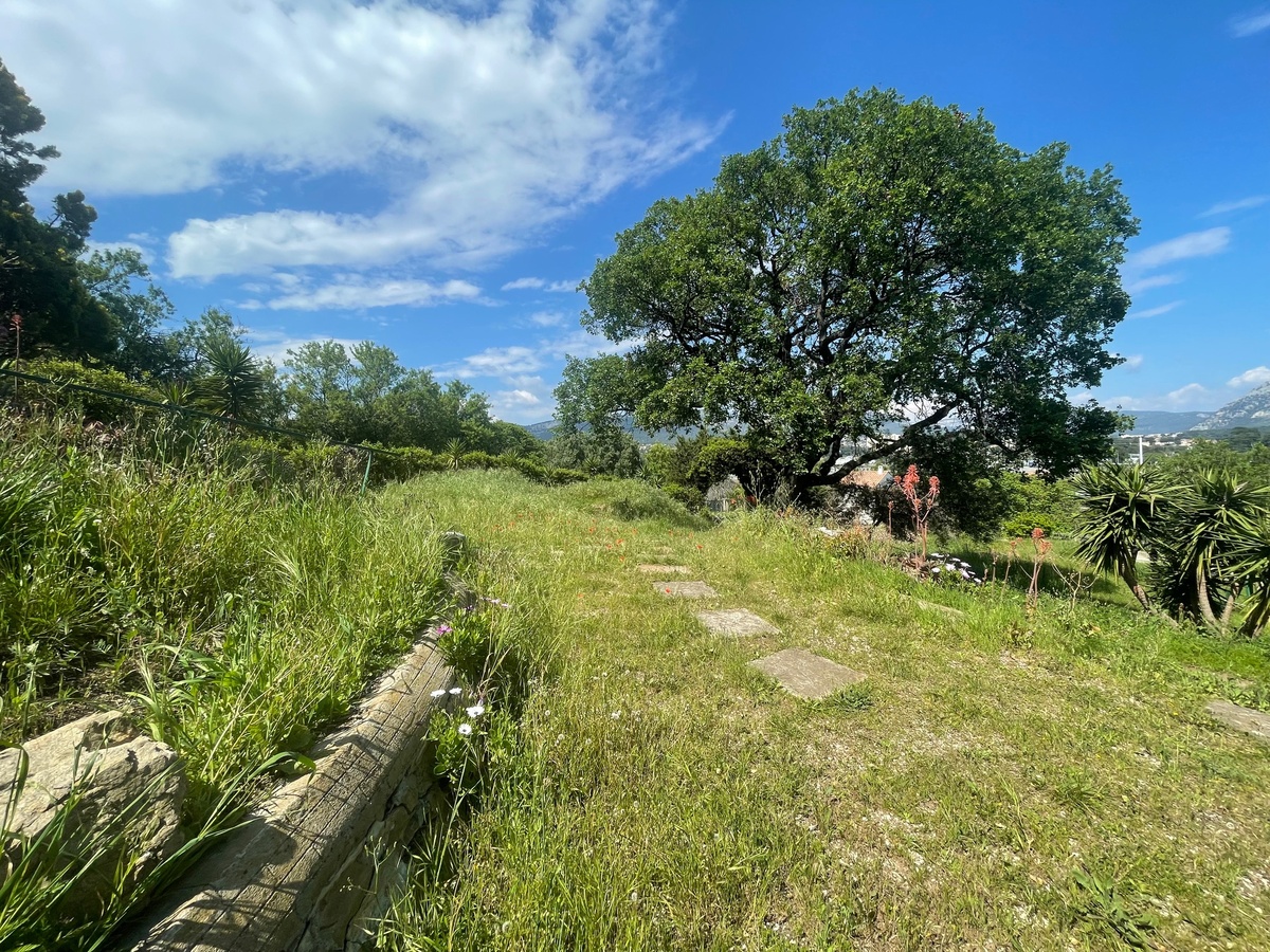 Terrain - Ollioules