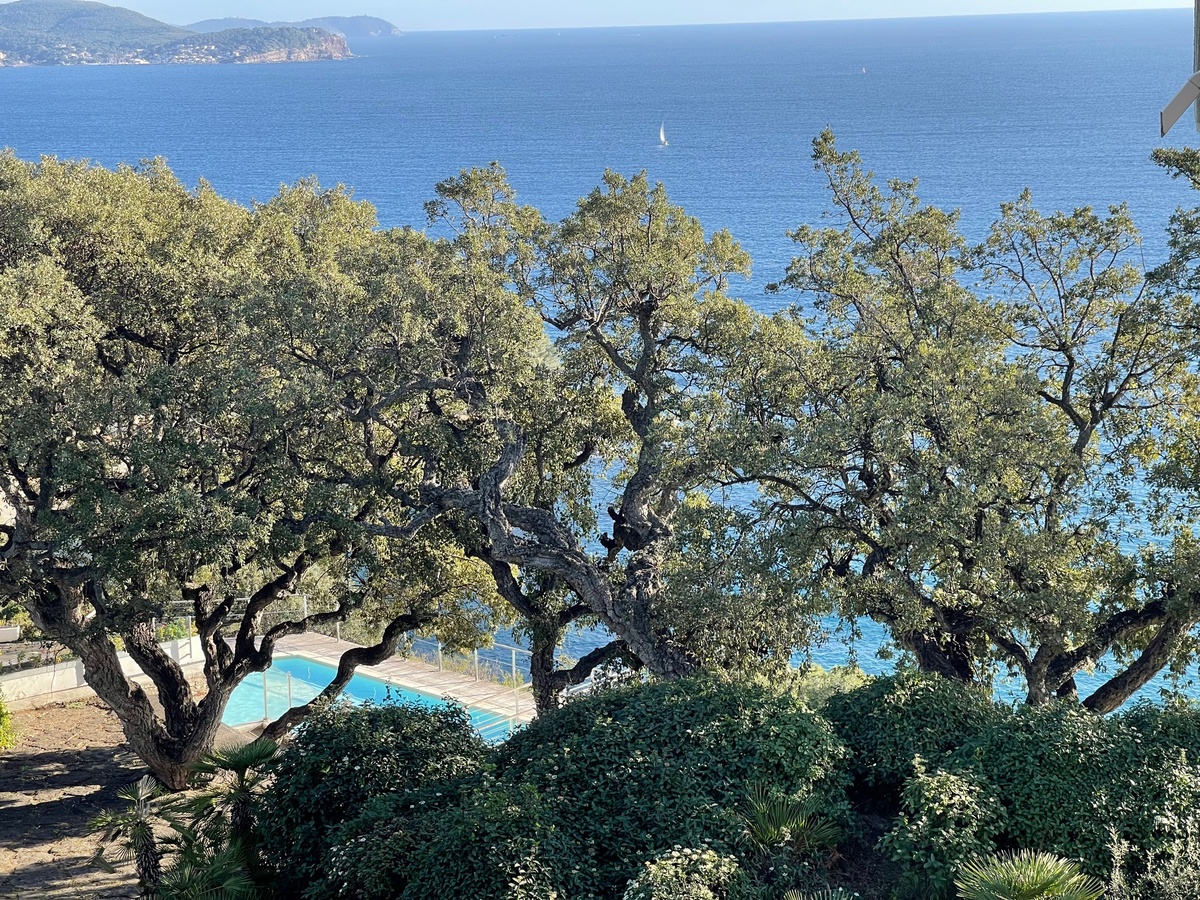 Appartement - Toulon